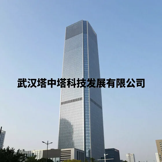 武汉塔中塔科技发展有限公司行业解析