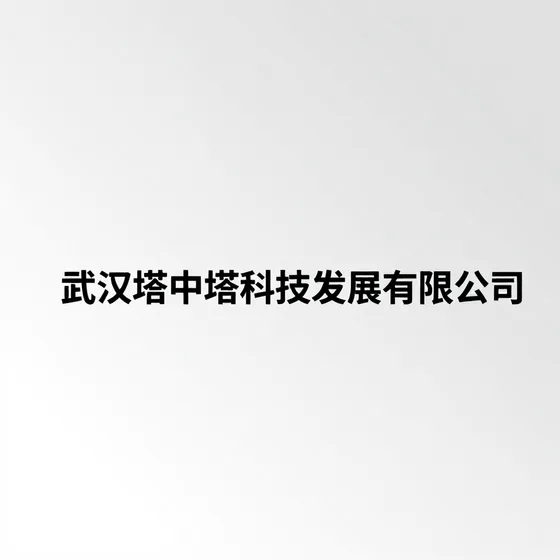 武汉塔中塔科技发展有限公司行业解析
