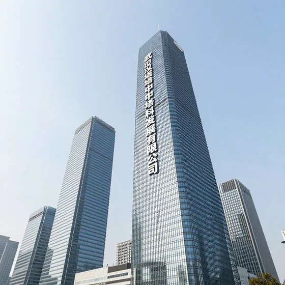 武汉塔中塔科技发展有限公司