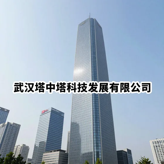 武汉塔中塔科技发展有限公司